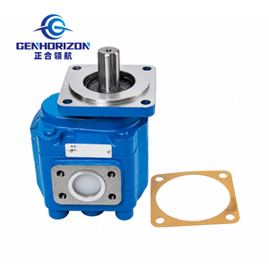 Pompa a Ingranaggi Tandem Genhorizon P2100 <span class=keywords><strong>0010</strong></span> Compatibile con Caricatore SD 956F 956L, Pompa di Lavoro, Ricambi di Alta Qualità, Garanzia 1 Anno - Product Image 1