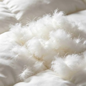 Couette en duvet de canard blanc ultra-douce, respirante, de qualité supérieure, pour une chaleur toute saison - Product Image 2