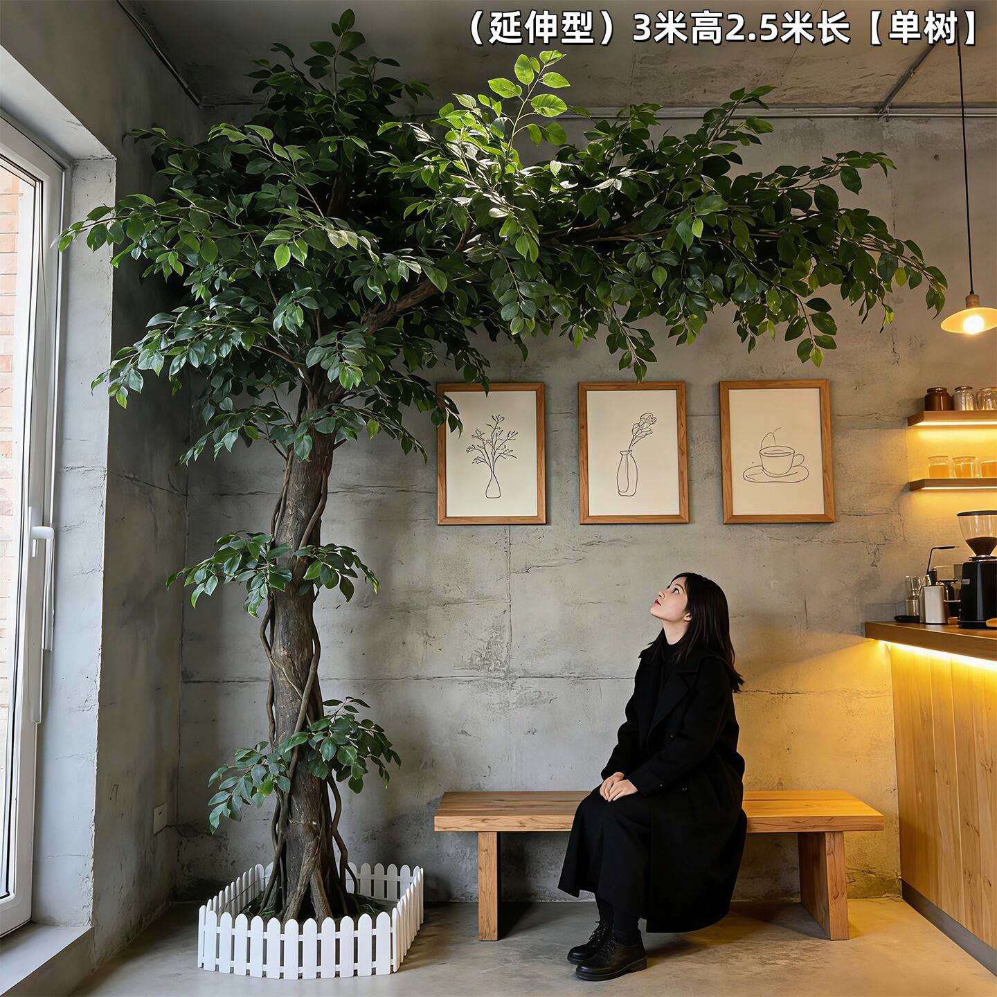 type étendu 3 m de haut 25 m de long-arbre unique-restauration de la beauté naturelle