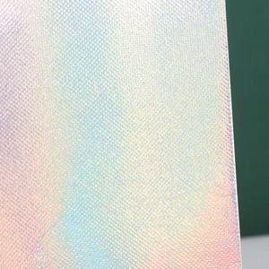 CangNan Parfait Arc-En-Ciel Non Tissé BOPP Laminé Eco-Recycler <span class=keywords><strong>Sac</strong></span> À Provisions Portable Fermeture À Glissière pour Vêtements Article Emballage - Product Image 5