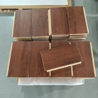 Porte intérieure en WPC au design moderne Belson, matériau de porte en WPC, prix d'usine, porte de salle de bain en WPC, vente chaude sur le marché saoudien