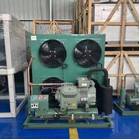 Unité de condensation H-Type à refroidissement par air tout-en-un avec moteur et évaporateur à économie d'énergie pour solution de réfrigération de chambre froide