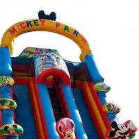 Toboggan gonflable géant sur le thème de Mickey Mouse, en PVC, respectueux de l'environnement, pour enfants, de qualité commerciale, pour jeux en plein air