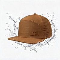 Gorra de Golf y Gimnasio de Alta Calidad, Personalizada, de 6 Paneles, con Visera Plana, de Poliéster, con Corte Láser Perforado, Cierre a Presión, Impermeable, con Parche de Goma