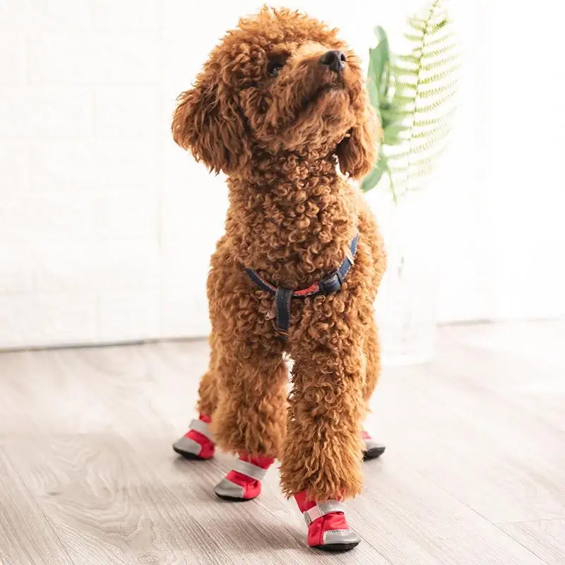 Zapatos de malla para perro, calzado transpirable, antideslizante, resistente al desgaste, Pomeranian, con Velcro atado