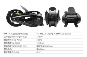 Système d'alimentation PMSM 145 à refroidissement par air de 3000W-8000W à structure compacte, Moteur moyeu à jante nue PMSM 145 à refroidissement par air - Product Image 6