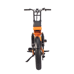 Vélo Électrique de Gros pour Usine, 7 Vitesses, Pneus Larges 20 Pouces, Moteur Brushless 500W/750W/1000W, Cadre en Aluminium, Batterie au Lithium, Modèle ATV08-2 - Product Image 6