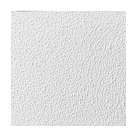 Jady – peinture décorative résistante aux taches pour mur intérieur, effet de mur en béton, peinture murale texturée