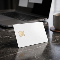Kartu Bisnis PVC/Polikarbonat Kustom, Kartu RFID Kecil dengan Jendela Transparan dan Lubang Punch untuk Keanggotaan Hotel