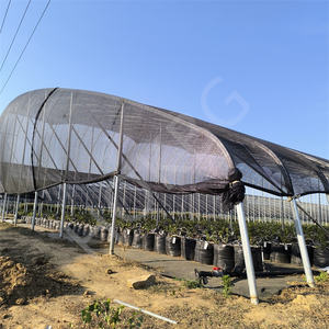 HOKBG-Maceta <span class=keywords><strong>de</strong></span> cultivo <span class=keywords><strong>de</strong></span> arándanos transpirables para plantas y verduras, <span class=keywords><strong>macetas</strong></span> hidropónicas para cultivo <span class=keywords><strong>de</strong></span> arándanos, bolsas <span class=keywords><strong>de</strong></span> plástico para invernadero - Product Image 4