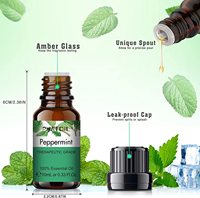 Huiles essentielles bio Offre Spéciale naturelles pures vente en gros achat d'arbre à thé menthe poivrée lavande diffuseur arôme huile essentielle