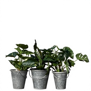 Farmhouse Style Galvanized Metal Bucket Planters Set Of 3 Fancy Design Flower <b>Pots</b> With Handles For Indoor Outdoor Garden Decor - Product Image 1