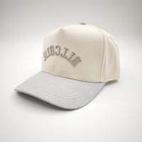 Casquette de baseball classique personnalisable à 5 panneaux en tissu Oxford Terry Dobby, visière incurvée réglable, logo brodé en 3D, broderie à la main motif fruits