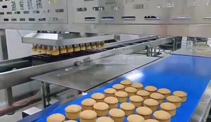 Machine à démouler le pain automatique de haute qualité du groupe Wanli, équipement de boulangerie pour ligne de production alimentaire - Product Image 5