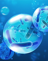 AMULYN Poudre de probiotiques lyophilisés Lactobacillus Acidophilus - Product Image 2
