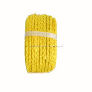 Corde en PE <span class=keywords><strong>anti</strong></span>-âge, résistante aux fissures, flexible et robuste pour la fixation de filets de pêche, la suspension en aquaculture et l'agriculture - Product Image 5