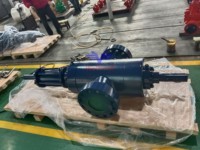 Vanne à vanne de dalle hydraulique Api6a de haute qualité avec volant pour champ pétrolifère prix moins cher
