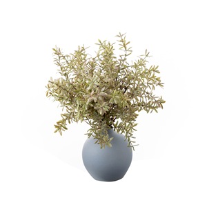CallaFloral Ramo de Hojas de Regaliz Artificiales, Plástico Verde Realista, Decoración para Bodas, Decoración del Hogar, Estilo INS, Planta Artificial - Product Image 5