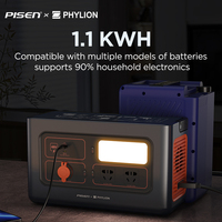 PISEN INV 1000W DC/DC Converter PHYLION e bike batterie 48V démarrage automatique onduleur générateurs pour la maison en cas de coupures de courant