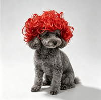 Perruque pour animaux de compagnie, pour chats et chiens, perruque afro universelle pour Halloween, accessoires capillaires personnalisés, toutes saisons