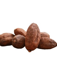 Natuurlijke Darmondersteuning 100% Zuivere Amomum Tsao-ko (Cao Guo) Gedroogd Kruidenextract Export Kwaliteit Bulk Supplement Poeder