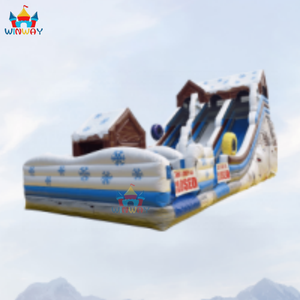 Glissade gonflable en PVC d'hiver à louer pour usage résidentiel et scolaire, glissade de parc aquatique à double voie pour la cour, amusement pour les enfants et les adultes - Product Image 6