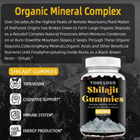 Gummies de Shilajit Premium d'Usine : Améliore l'Énergie, la Concentration, l'Endurance, Soutient la Santé Immunitaire – Gummies de Shilajit Pur pour Hommes