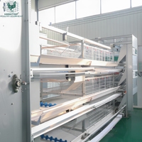 Système de cages en batterie pour poulets de type H galvanisé certifié ISO à 3/4 niveaux avec courroie de retrait de fumier pour l'élevage avicole