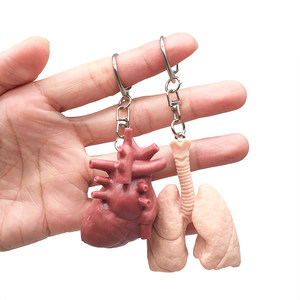 Modèle d'organes internes simulés : Cœur, Foie, Rate, <span class=keywords><strong>Poumon</strong></span> et Rein – Modèle anatomique cardiaque pédagogique avec pendentif porte-clés - Product Image 5
