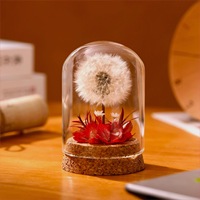 Lampu Malam Kubah Kaca Bunga Dandelion Abadi, Hiasan Meja Bunga Kering Awet Buatan Tangan 6x15cm, Hadiah