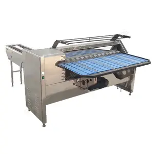 New design sorting and egg grading machine for wholesales