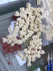 热销皇冠花珠 雕刻渐变绿色夏威夷皇冠花树脂珠 - Product Image 6