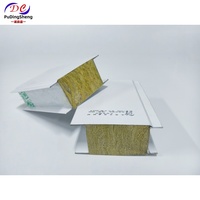 Panneau sandwich en laine de roche ignifuge et isolant thermiquement, haute densité, pour la construction de salles blanches