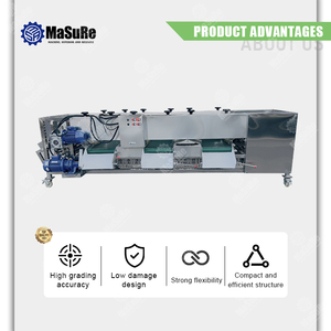 Totalmente Automático Frutas e Vegetais Peso Máquina De Classificação Comercial Rolling Bar Grader Factory Direct Supply - Product Image 5