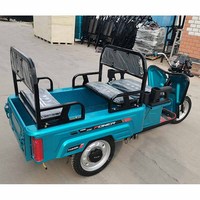 Tricycle électrique Dudu pliable à 3 roues, mini tricycles électriques pour la mobilité, à vendre, passagers adultes