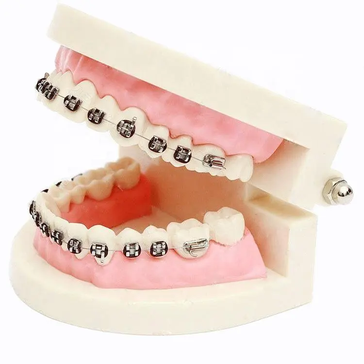 Tiantian Dental equipment top supply metal dental ortho orthodontic brackets