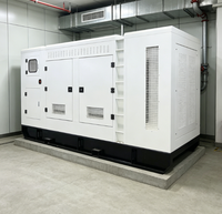Groupe électrogène insonorisé de qualité industrielle 300 kW GPL GNL Biogaz Haute Puissance pour l'alimentation de secours des grands commerces et des bâtiments médicaux