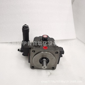 ปั๊มวาล์วแปรผัน Dahua HVP 30 D PK แบบควบคุมด้วยระบบไฮดรอลิก แกนหมุนตามเข็มนาฬิกา - Product Image 5