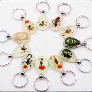LLavero de insecto ámbar luminoso para hombres y mujeres Nuevo diseño Resina Animal Espécimen Joyería - Product Image 1
