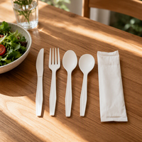 Ensemble de couverts jetables en CPLA (couteaux, fourchettes, cuillères) pour fêtes, mariages et événements