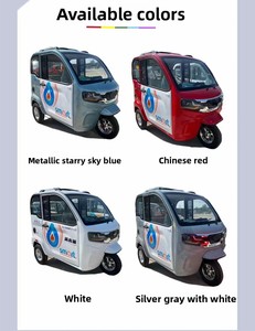 Scooter Elettrico a Tre Ruote Completamente Chiuso con Targa Nazionale, Fattura Disponibile, Piccola Auto Familiare per Trasporto e Ritiro - Product Image 6