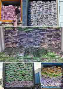 ทรายแมวลาเวนเดอร์รีเฟรช เบนโทไนต์ สำหรับแมว จับตัวเป็นก้อนเร็ว - Product Image 4