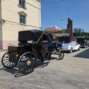 Best Selling Custom Black Electric Horse Carriage Rows Double Soft Canopy Retro Buggy For Theme Park Hotel Parade - Product Image 5