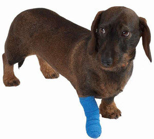 ชุดปฐมพยาบาลผ้าพัน<span class=keywords><strong>แผล</strong></span>ยืดหยุ่นได้สำหรับวัวแกะและม้า - Product Image 3