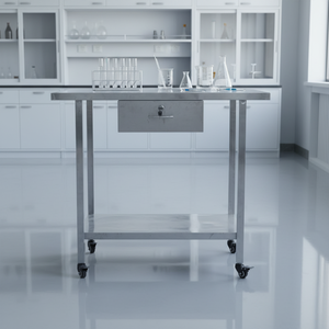 Tavolo Operatorio Veterinario di Alta Qualità EUR VET in Acciaio Inossidabile, Tavolo Diagnostico per Cani e Animali Domestici, per Cliniche Veterinarie - Product Image 1