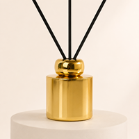 Bouteille diffuseur de parfum en verre électroplaqué de luxe de 120 ml avec bouchon pour la maison, aromathérapie, bouteille diffuseur vide