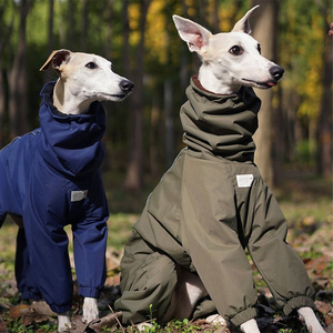 Qiqu personnalisé résistant à l'eau chien veste moderne solide extérieur imperméable <span class=keywords><strong>pour</strong></span> italien lévrier <span class=keywords><strong>Whippet</strong></span> nouveau concepteur fournitures <span class=keywords><strong>pour</strong></span> animaux <span class=keywords><strong>de</strong></span> compagnie - Product Image 6
