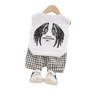 Conjunto de Ropa Deportiva de Algodón para Niños Pequeños, Camisetas de Manga Corta y Pantalones para Niños, Venta al por Mayor - Product Image 1