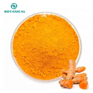 B.C. I. Fornitura 5% 10% 50% 95% 98% curcuma radice in polvere curcumina estratto in polvere