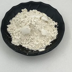 Natural Psyllium Seed Husk Wholesale Psyllium Husk Powder